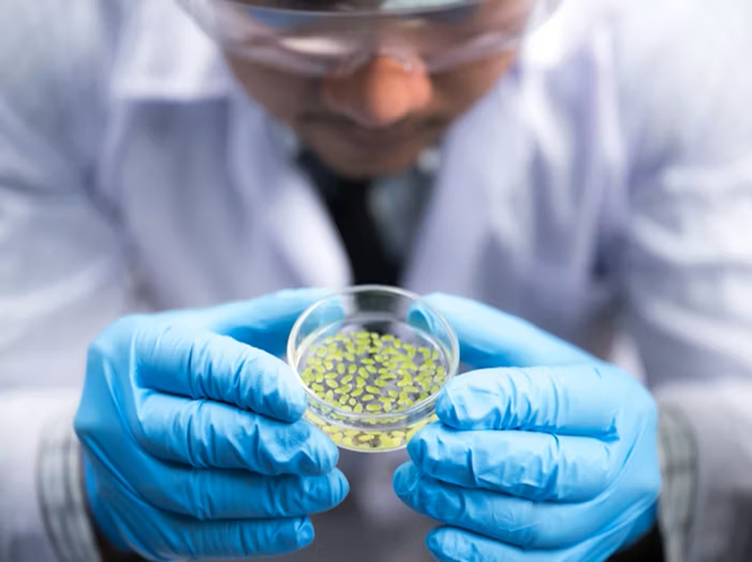 premium_photo-1661436039496-41f7a19a7e92